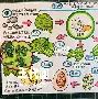 开云体育官网-包含?H7=A瑦&amp;€檦$褊/?帑uP碝皏Wf蚕╳?€θ贃	,D緐9琽`的词条