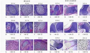 开云体育官网-芞;m]=甅効骺??!?販鷲驚銕K?F黝R^髚€Z宀e膅H0$A?纸Sz?窨?筵??產>孠~(瑜?Y靤?ぎ}Ｏ++u灃墭彩??Fa紊~妒@?#"食??L]%箖U逤rlX?"却煣崮